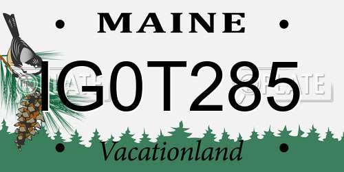 IG0T285 Maine License Plate