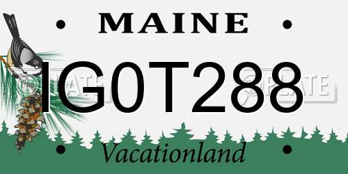 IG0T288 Maine License Plate