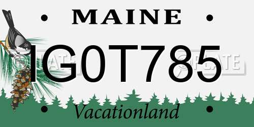 IG0T785 Maine License Plate