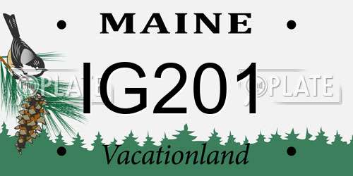 IG201 Maine License Plate