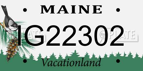 IG22302 Maine License Plate