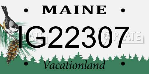 IG22307 Maine License Plate