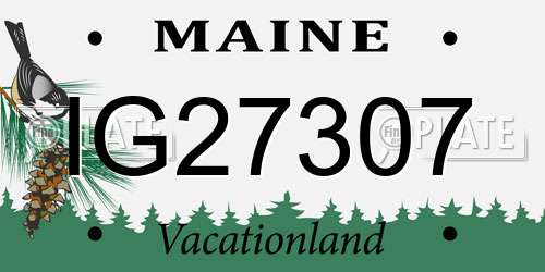 IG27307 Maine License Plate