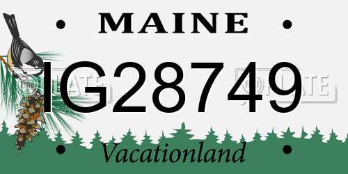 IG28749 Maine License Plate