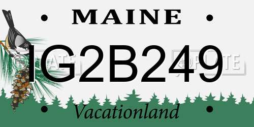 IG2B249 Maine License Plate