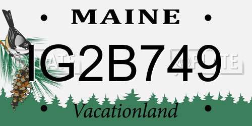 IG2B749 Maine License Plate