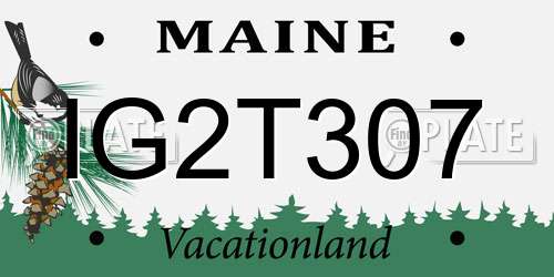 IG2T307 Maine License Plate