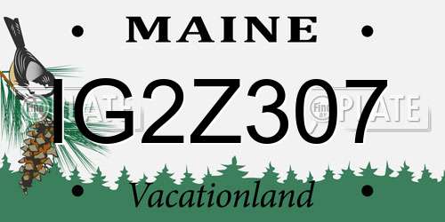 IG2Z307 Maine License Plate
