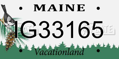 IG33165 Maine License Plate