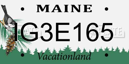 IG3E165 Maine License Plate