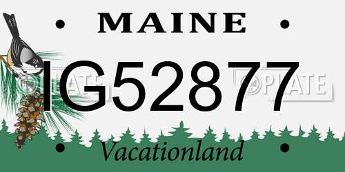 IG52877 Maine License Plate