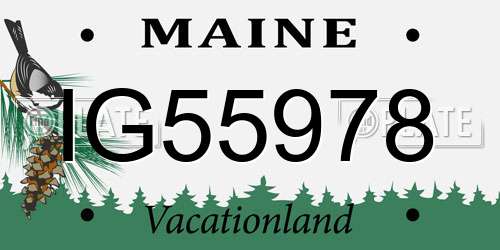 IG55978 Maine License Plate