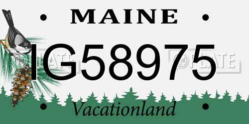 IG58975 Maine License Plate