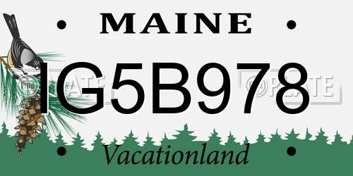 IG5B978 Maine License Plate