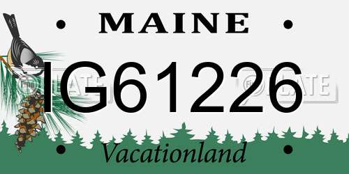 IG61226 Maine License Plate