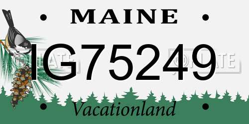 IG75249 Maine License Plate