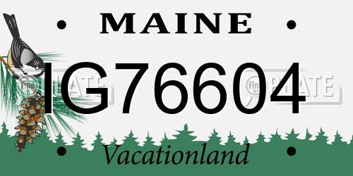 IG76604 Maine License Plate