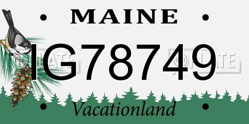 IG78749 Maine License Plate
