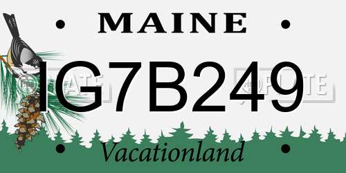 IG7B249 Maine License Plate