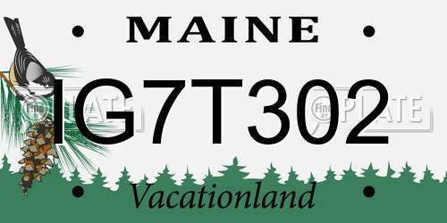 IG7T302 Maine License Plate
