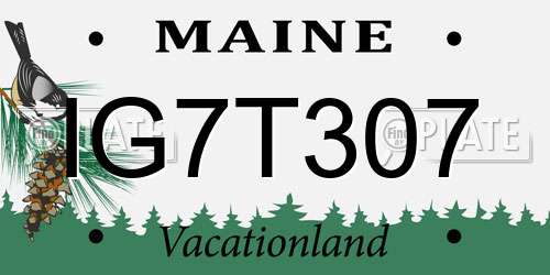 IG7T307 Maine License Plate