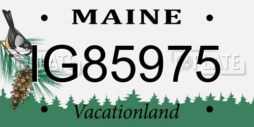 IG85975 Maine License Plate