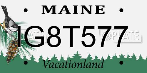 IG8T577 Maine License Plate