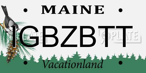 IGBZBTT Maine License Plate