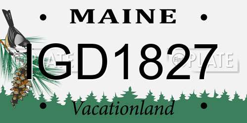 IGD1827 Maine License Plate