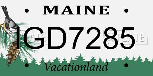 IGD7285 Maine License Plate