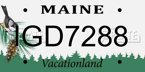 IGD7288 Maine License Plate