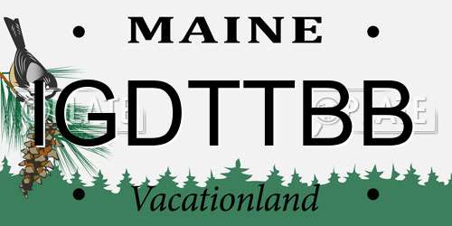 IGDTTBB Maine License Plate