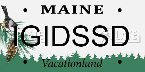 IGIDSSD Maine License Plate