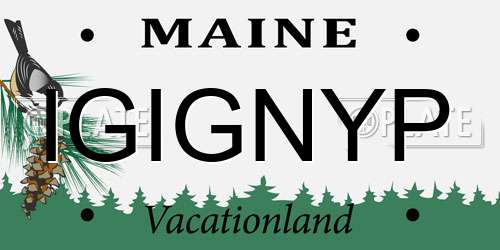 IGIGNYP Maine License Plate