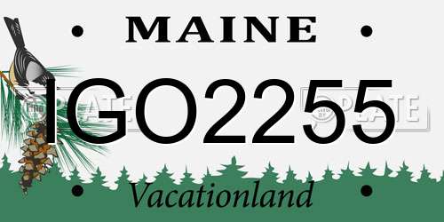 IGO2255 Maine License Plate