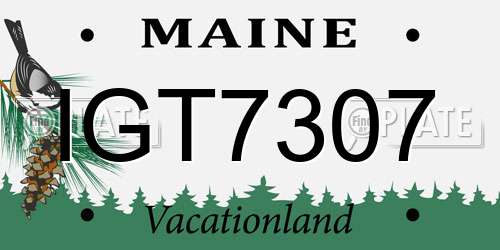 IGT7307 Maine License Plate
