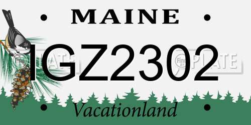 IGZ2302 Maine License Plate