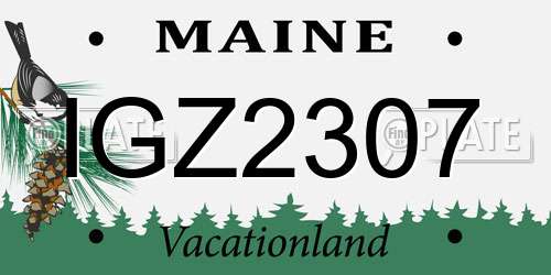 IGZ2307 Maine License Plate