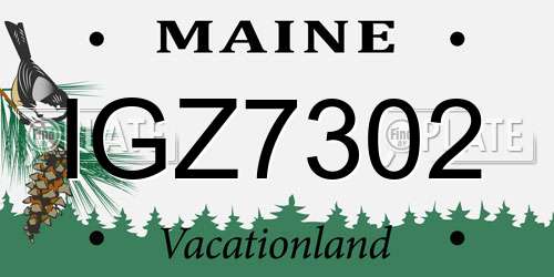 IGZ7302 Maine License Plate