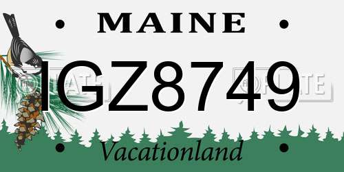 IGZ8749 Maine License Plate