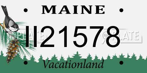 II21578 Maine License Plate