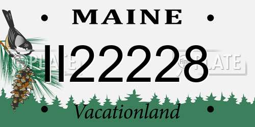 II22228 Maine License Plate