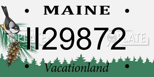 II29872 Maine License Plate
