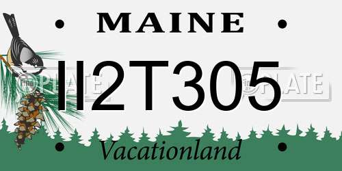 II2T305 Maine License Plate
