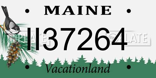 II37264 Maine License Plate