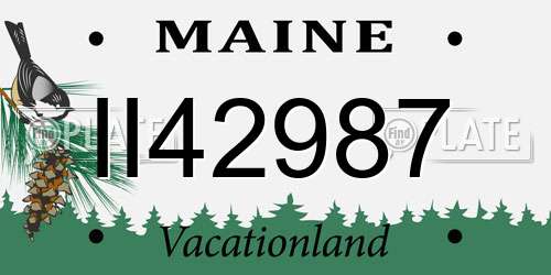 II42987 Maine License Plate