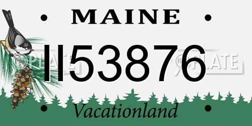 II53876 Maine License Plate