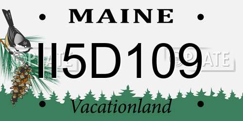 II5D109 Maine License Plate