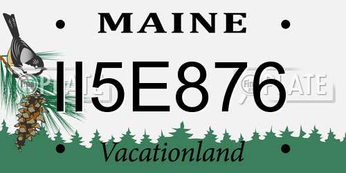 II5E876 Maine License Plate