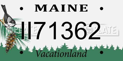 II71362 Maine License Plate